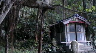kuchierabu3_4